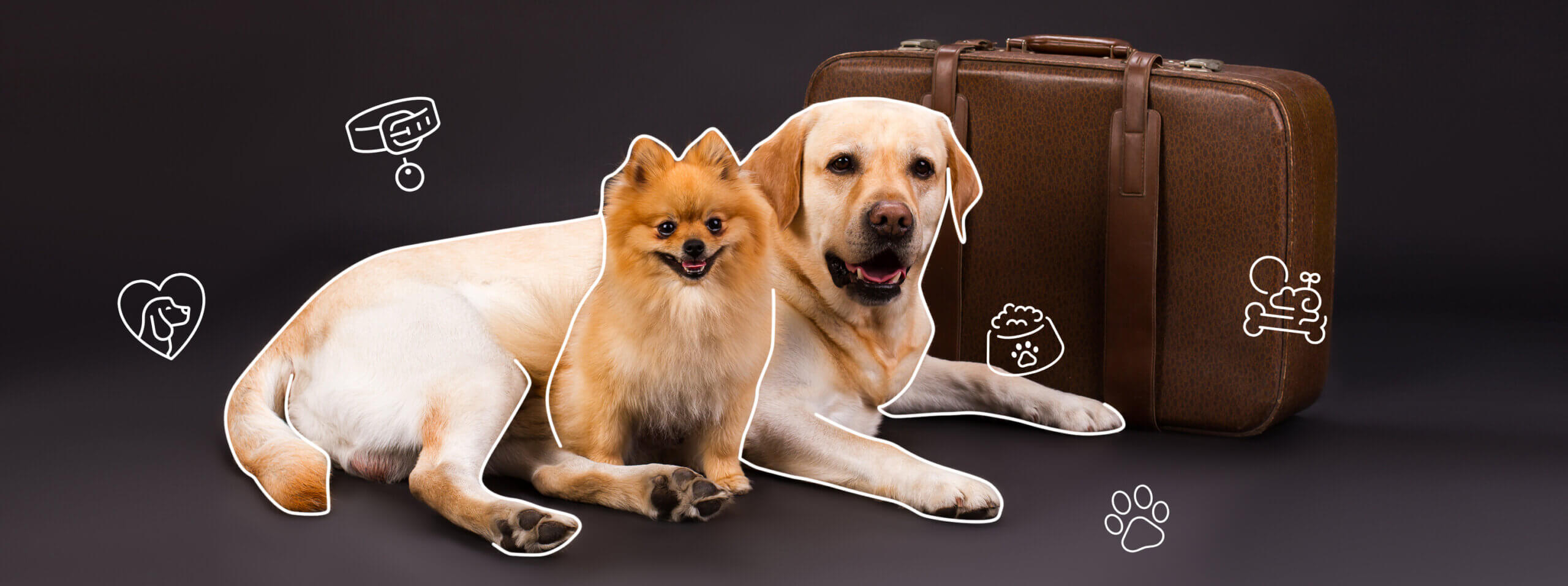 Pets trading