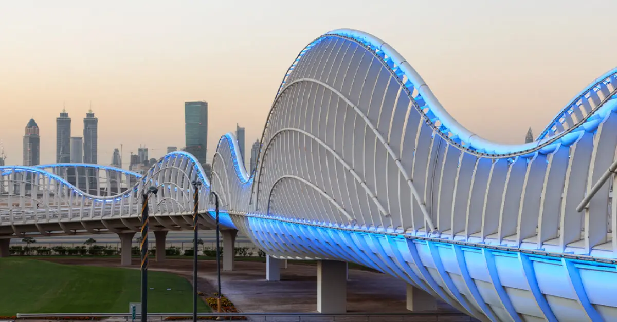 BIZ Meydan Partnership