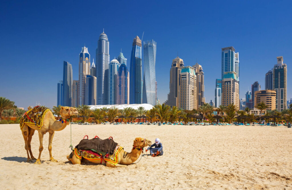 Blog Image for the topic-how Dubai businesses adapt to the summer