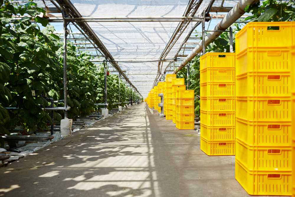 How to Establish an Irrigation Equipment Supplier Business in the UAE