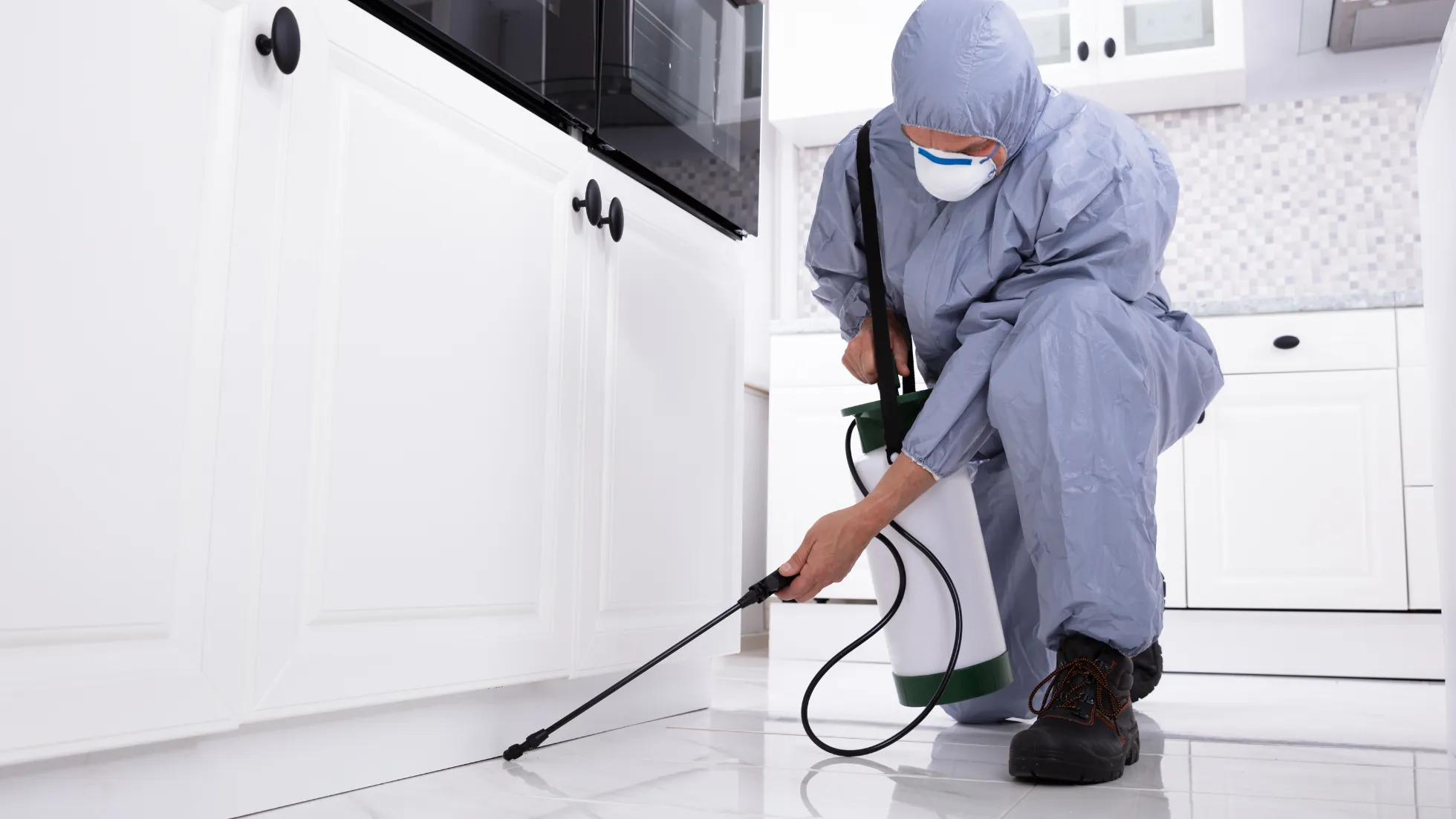 How to Launch a Pest Control Equipment Wholesale Business in the UAE